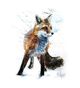 Fox, Hayvanlar, Suluboya, Vahşi, Illüstrasyon, Yaban Hayatı, Kostart Tablo Ahşap Poster Dekoratif