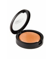 Cosmegram Terracota Allık No:301