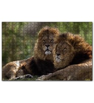 Cakapuzzle Görkemli Erkek Aslanlar  Puzzle Yapboz MDF (Ahşap) (120 Parça)