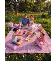 Pötikare Desenli - 170x220 Cm - Pembe Renk - Çantalı Piknik Örtüsü ve 4'lü Minder Seti - Kamp Örtüsü