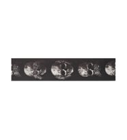 Planet Waves 50AL01 Alchemy Serisi 50mm Gitar Askısı Muted Skull (Kuru Kafa) Desenli, Ayarlanabilir Uzunluk, Kaliteli Dokuma