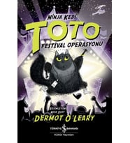 Ninja Kedi Toto – Festival Operasyonu