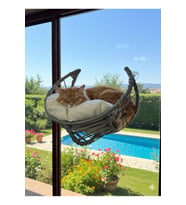 Vantuzlu Cam Önü Kedi Yatağı Gri Örgü Minderli Seyir Terası