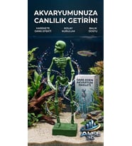 Alse Dans Eden Akvaryum İskeleti 2'li Set - Akvaryumunuzda ikili Eğlence!(Yeşil)