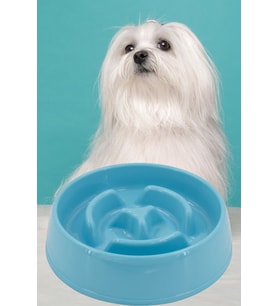 Evcil Hayvan Yavaş Mama Yeme Kabı Yavaş Besleyici Kedi Köpek Mama Kabı Büyük Boy 775 ML 1450