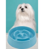 Evcil Hayvan Yavaş Mama Yeme Kabı Yavaş Besleyici Kedi Köpek Mama Kabı Büyük Boy 775 ML 1450