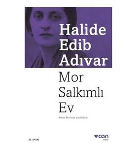 Mor Salkımlı Ev