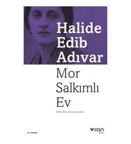 Mor Salkımlı Ev