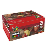 Nova Color Guaj Boya 12 Renk x 25 ml Şişe 