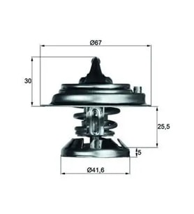 MAHLE TX2975D Termostat A6012000215