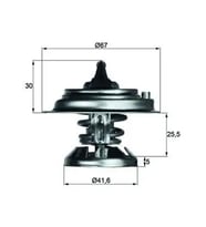 MAHLE TX2975D Termostat A6012000215