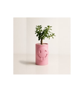 Alvera Emoji Planter – 3D Baskı Göz Kırpan Yüzlü Minik Yeşil Saksısı-Pembe