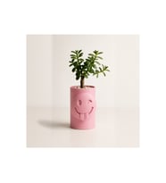 Alvera Emoji Planter – 3D Baskı Göz Kırpan Yüzlü Minik Yeşil Saksısı-Pembe