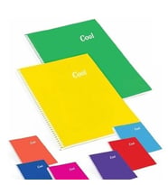 Keskin Color Cool 96 Yaprak A4 Çizgili Defter Spiralli Pp Kapak 2 adet