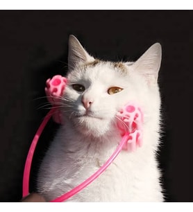 Kedi Fırça Kedi Masaj Aleti Plastik Kumu Mama