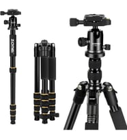 Zomei Q666 Tam Profesyonel Tripod Kaliteli Alüminyum Taşınabilir Tripod Top Başlı Ağır Hizmet Hafif Kompakt Seyahat Nikon Canon Sony Tüm DSLR ve Dijital Fotoğraf Makinesi için