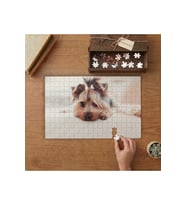 Sevimli Yorkshire Terrier Tasarımı 240 parça Ahşap Puzzle Ahşap Kutuda MP02443