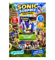 PMI/SON220 Sonic Tekli Figür Sürpriz Paket