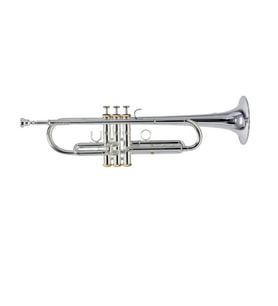 Roy Benson TR-CGS Charlie Green Signature Trompet