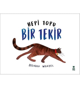 Hepi Topu Bir Tekir