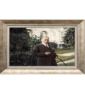 GÜMÜŞ ÇERÇEVELİ TABLO N1006