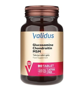 Validus Glucosamine + Chondroitin + MSM 90 Tablet