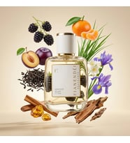 FIANENDÉI PARFUMS W-H2 SPECIAL KADIN PARFUM 50 ML