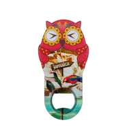 Jamaika Temalı Baykuş Magnet Kapak Açacak (Karışık)