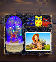 Kişiye Özel Renkli Led Işıklı Fanus, Fotoğraf ve Baykuş Magnet Hediye Seti