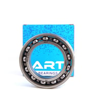 6207 ART RULMAN