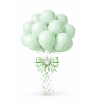 Beysüs Mint Yeşili Makaron Balon 20 adet 12inç