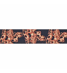 PLANETWAVES 50LT01