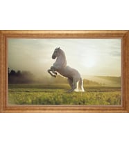 EV İŞYERİ OFİS İÇİN ALTIN ÇERÇEVELİ PASPARTULU TABLO S705