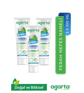 3 Adet Doğal Yoğun Naneli Florürsüz Ferah Nefes Diş Macunu 100 Ml