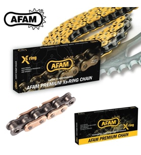 AFAM A520-120Xsr-g 2021-2026 Triumph Trident 660 Uyumlu Zincir Xsr-g Xring Gold