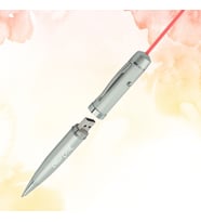 KİŞİYE ÖZEL İSİM BASKILI LAZER IŞIKLI METAL KALEMLİ FLAŞ BELLEK 64 GB (Gri)