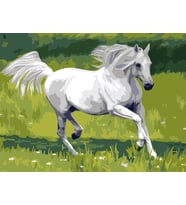 Ahal Teke Sayılarla Boyama Seti 40x50 cm (Tuvale Gerili)