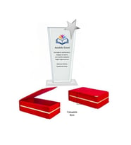 Kadife kutulu Cam Kristal Plaket gümüş yıldızlı