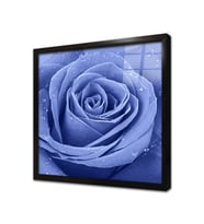 Gül ve Üzerindeki Su Damlacıkları Çerçeveli Cam Tablo