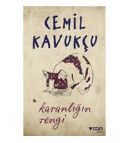 Karanlığın Rengi