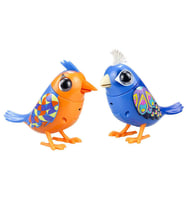 Digibirds İkili Paket Seri 1