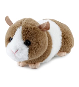 Ginepig Açık Renk 25 cm (Karışık)