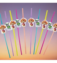 Pipet PAW PATROLSKY 10 lu artistik pipet