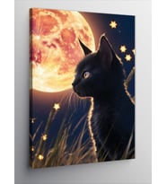 Kanvas Tablo Siyah Kedi Ve Dolunay