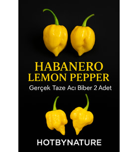 HABANERO LEMON PEPPER / 350.000 Scoville - Gerçek Taze Acı Biber