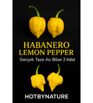 HABANERO LEMON PEPPER / 350.000 Scoville - Gerçek Taze Acı Biber