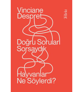 Soruları Sorsaydık Hayvanlar Ne Söylerdi?
