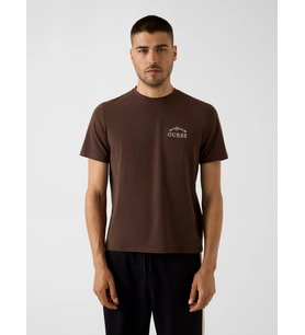 Guess Stan Erkek Aktif Regular Fit T-Shirt