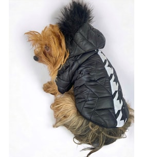Luxy Black Köpek Montu, Köpek Ceketi, Köpek Dış Giyim