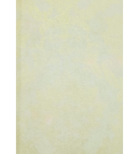 MAXWALL QUANTUM DUVAR KAĞIDI 2-004 (10m2)